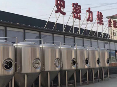 平塘精酿啤酒设备厂—如何判断精酿啤酒设备的密封件需要更换？